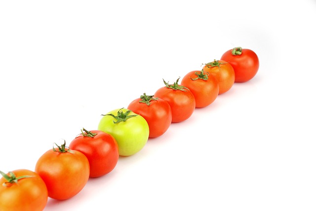 En unik text rankar bättre än duplicerat innehåll